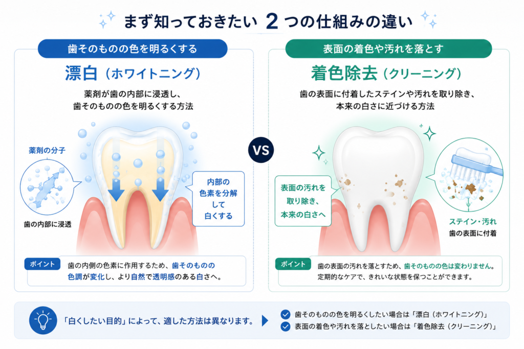ホワイトニングとは？種類・仕組み・セルフとの違いをわかりやすく解説
