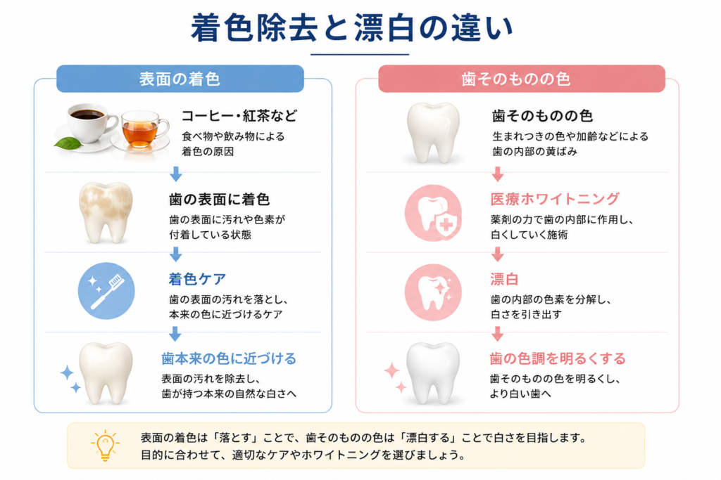 ホワイトニングの種類を比較｜医療・セルフの違いと選び方｜SELFDUCK LAB