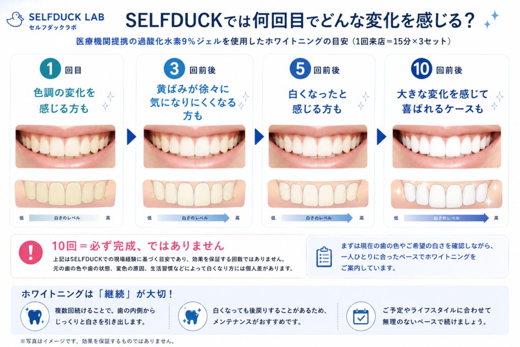 1回・3回・5回・10回の変化