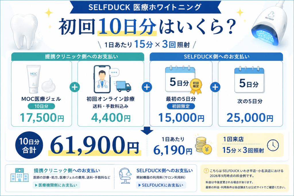 SELFDUCK初回10日分の料金内訳