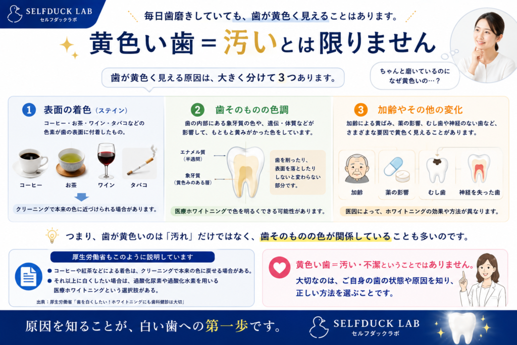 黄色い歯=汚いとは限らない