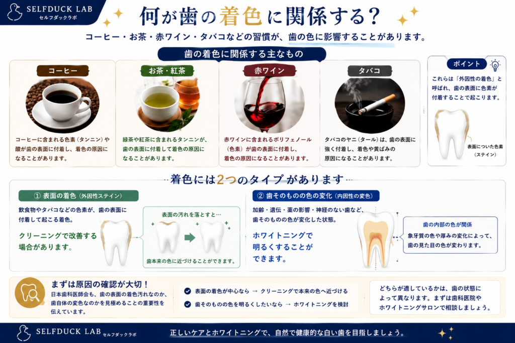 何が歯の着色に関係する?