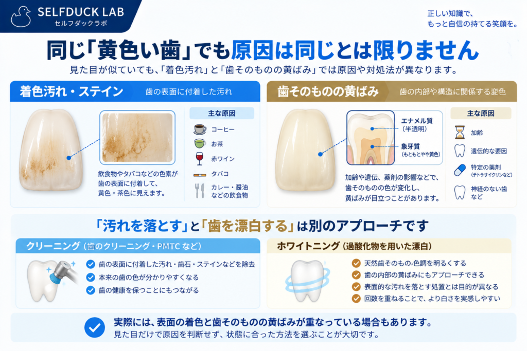 着色汚れと歯そのものの黄ばみの違い