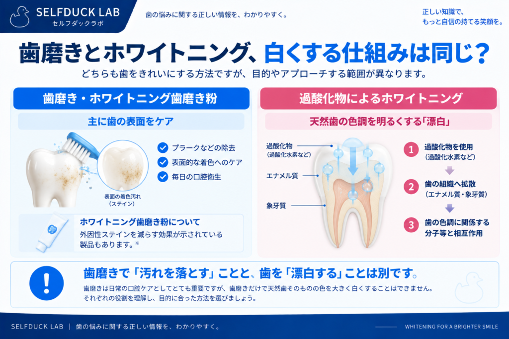 歯磨きとホワイトニング、白くする仕組みは同じ?