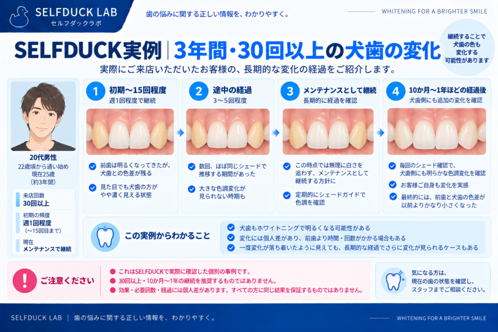 SELFDUCK実例｜3年間・30回以上の犬歯の変化