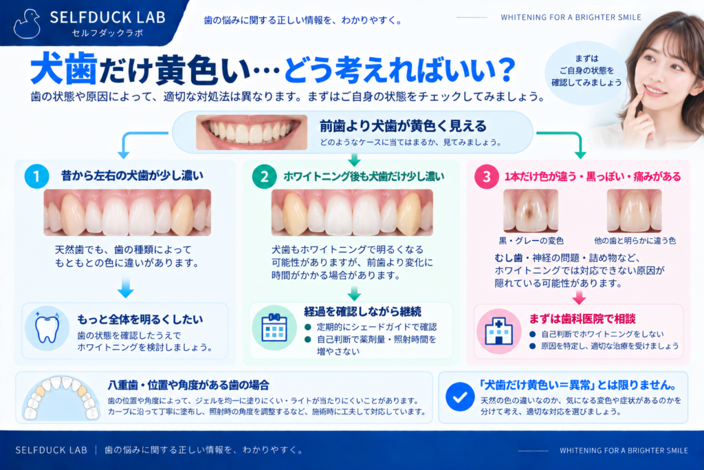 犬歯だけ黄色いとき、どうする？