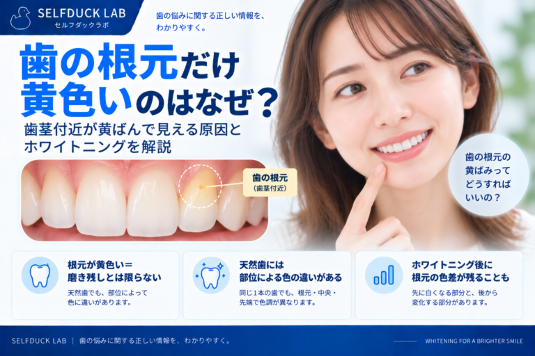 歯の根元だけ黄色いのはなぜ？