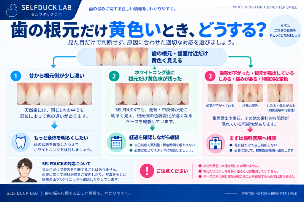歯の根元だけ黄色いとき、どうする？