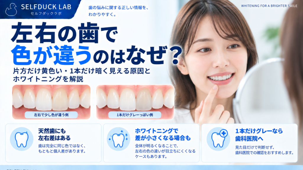 左右の歯で色が違うのはなぜ？