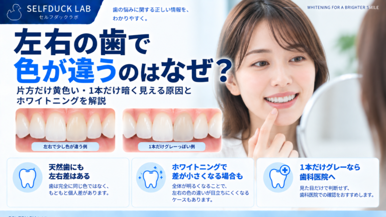 左右の歯で色が違うのはなぜ？