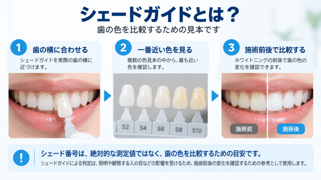 シェードガイドは歯の色を比べるための見本